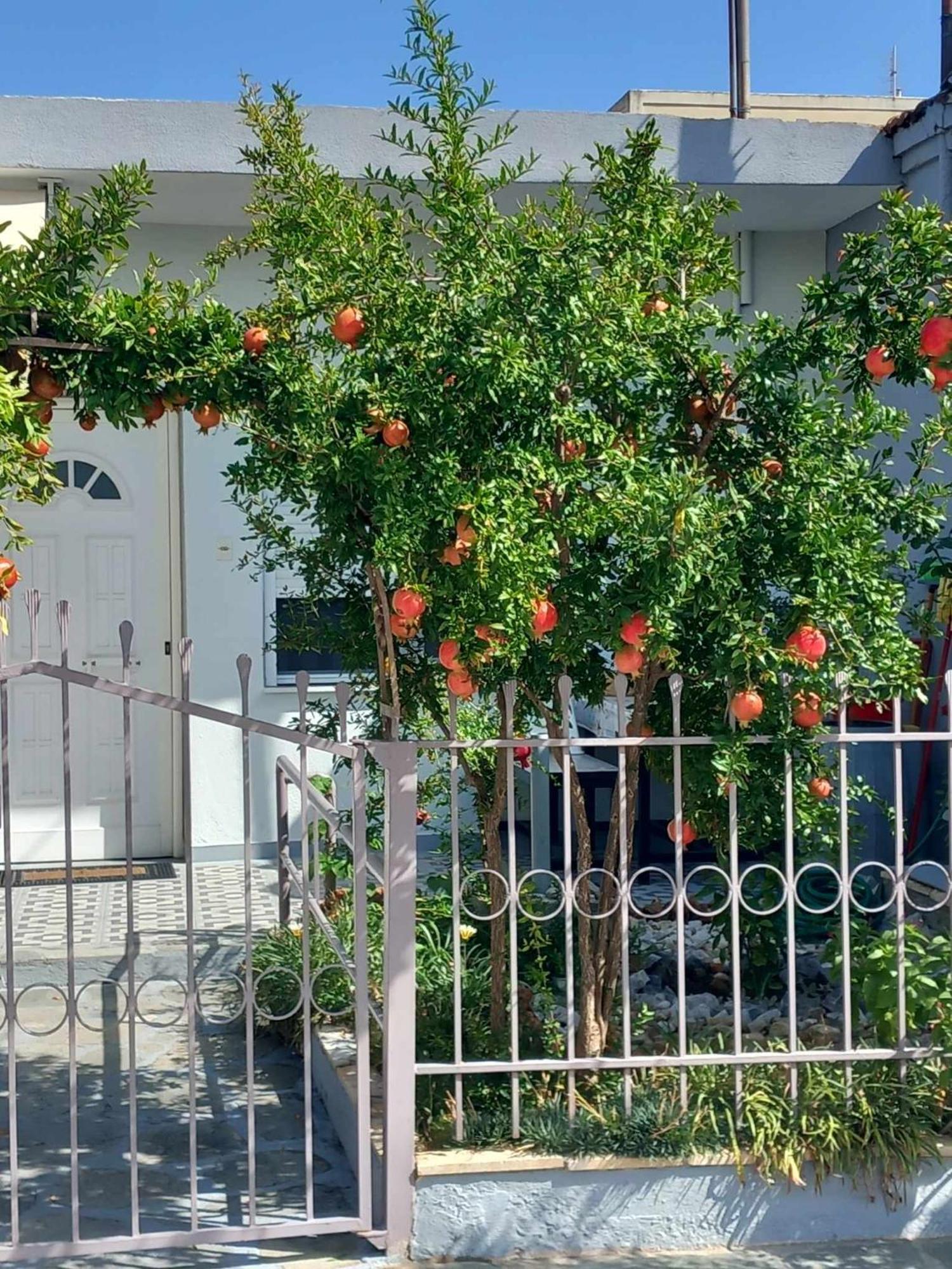 Anastasia'S Home Nea Peramos  Exterior photo